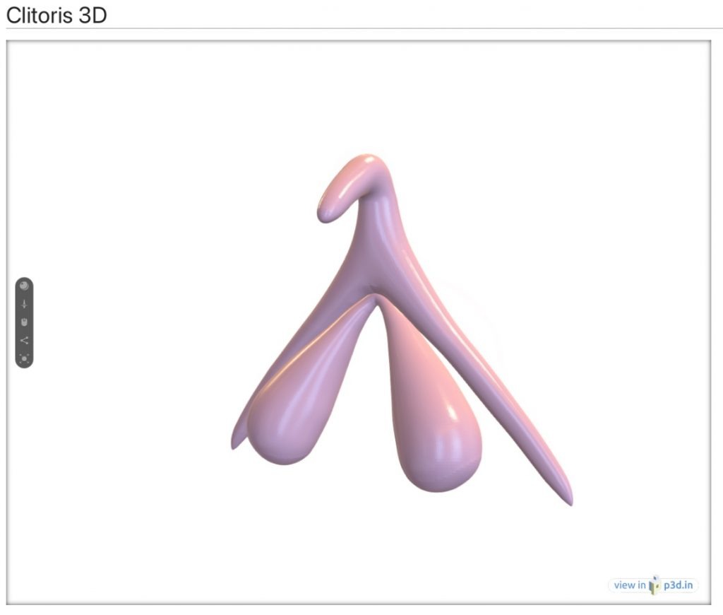 Ancienne version du clitoris 3D